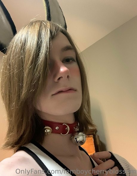 Femboycherryblossom