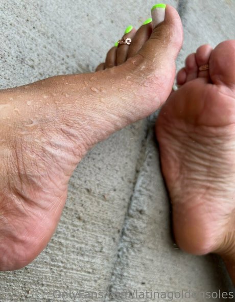 Latinagoldensoles