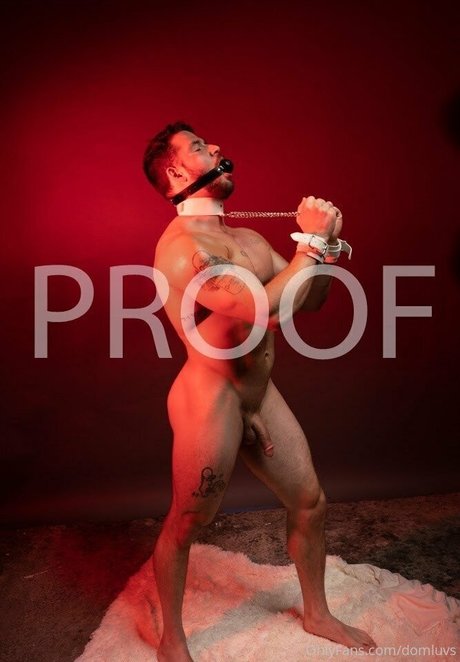 Naakte gelekte OnlyFans-foto van Domluvsfree