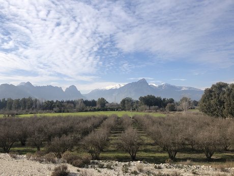 Naken läckt OnlyFans-bild av Antalya Bisex