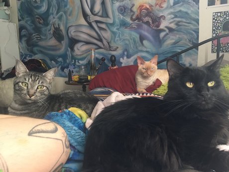 Nøgent lækket OnlyFans-billede af Jiggy Cat Tribe Asmr
