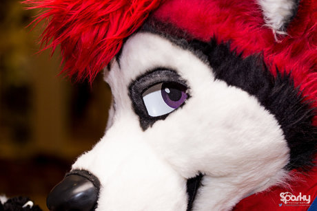 Cenny After Bark 
