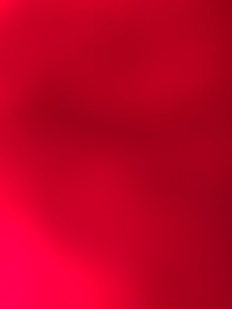 U25408187