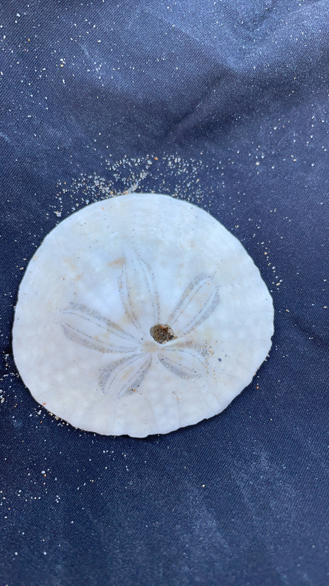 Alasti lekkinud OnlyFans-i pilt Nicole #2