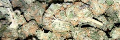 Moneychaser517