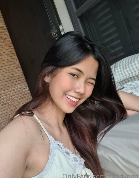Sandydao