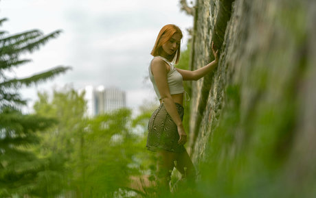 Gingeryshoot