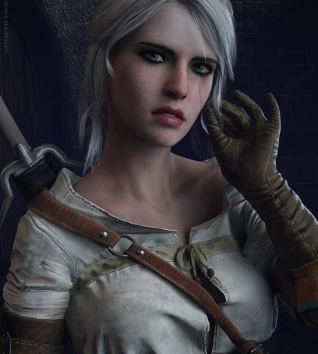 The Witcher