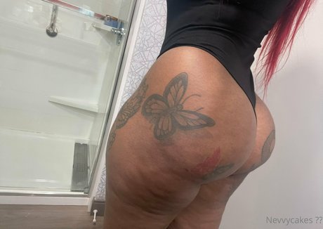 Nevvycakes