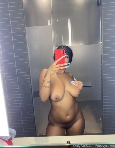 Nevvycakes