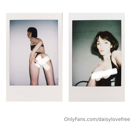 Daisylovefree