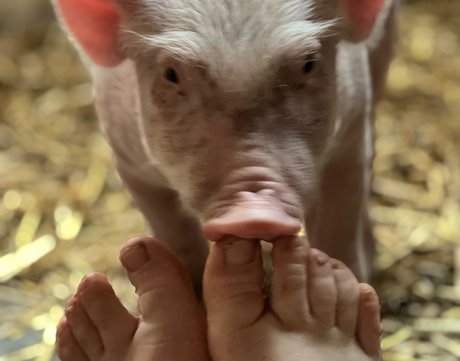 Naken läckt OnlyFans-bild av Dutchfarmgirl