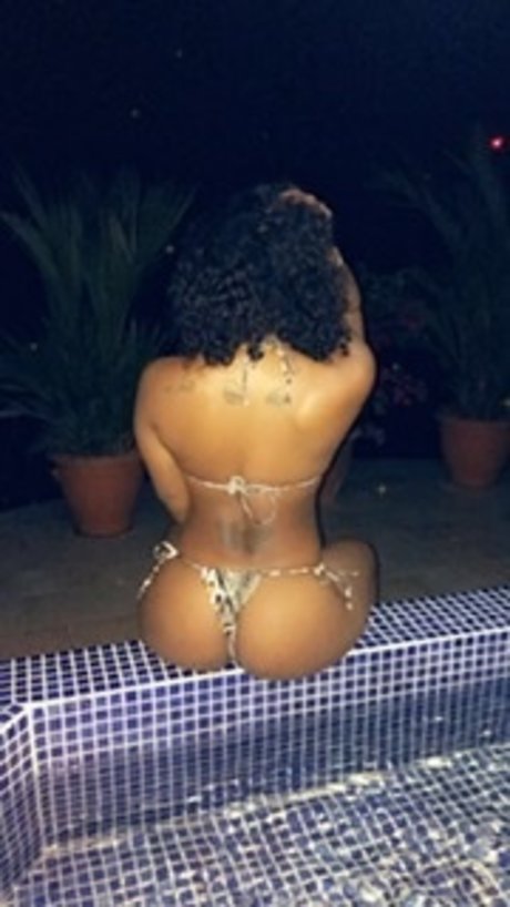 Miami Sunshine