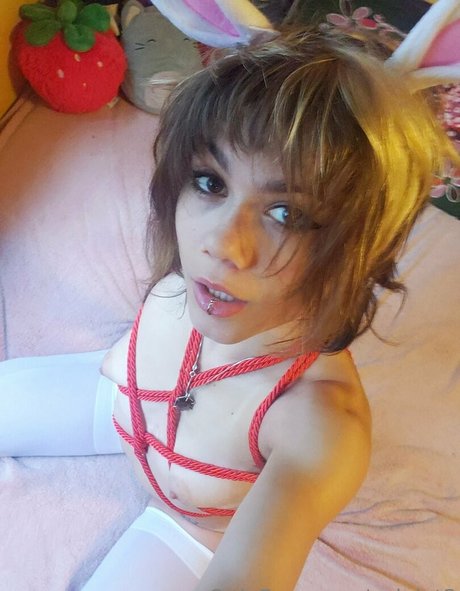 Vviolet3