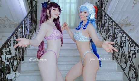 Visagefox