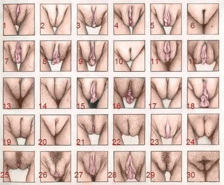 Naken läckt OnlyFans-bild av 306hardluck