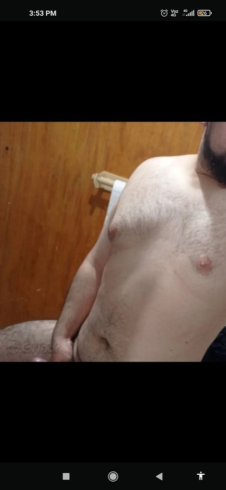 Oso Chileno Peludo