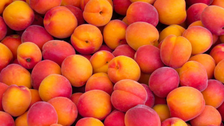Nøgent lækket OnlyFans-billede af Peaches