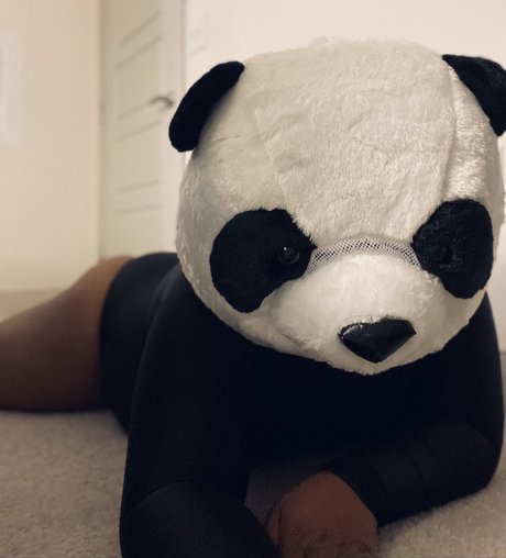 Nøgent lækket OnlyFans-billede af Playbear