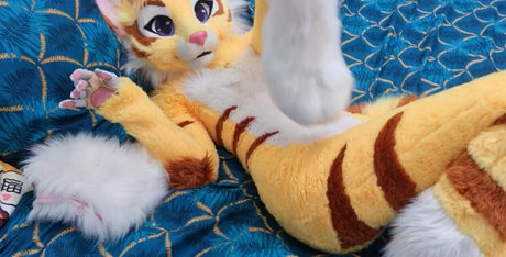 Thatyellowkitty