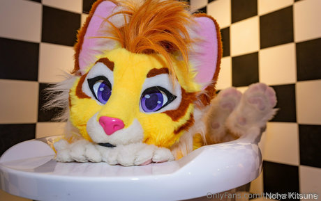 Thatyellowkitty