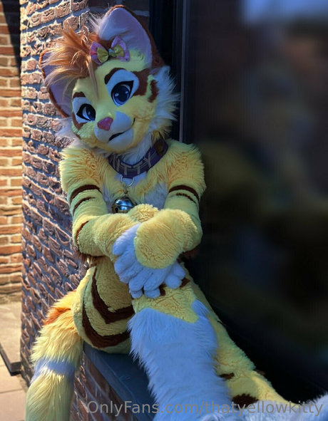 Thatyellowkitty