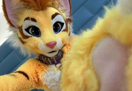 Thatyellowkitty