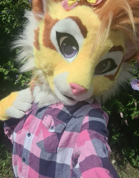 Thatyellowkitty