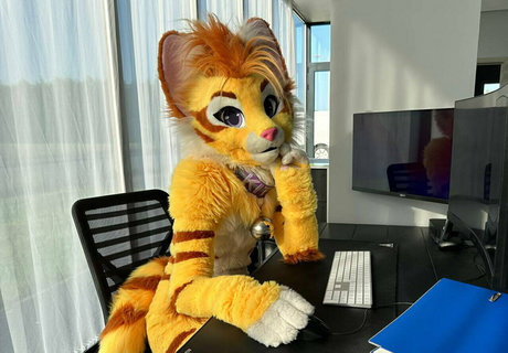 Thatyellowkitty