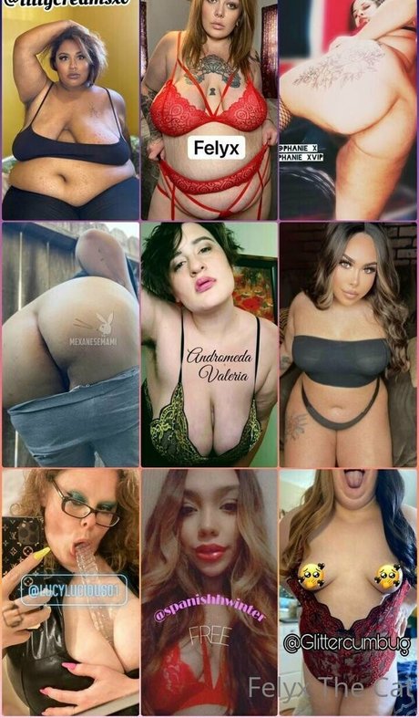 Felyxfree OnlyFans