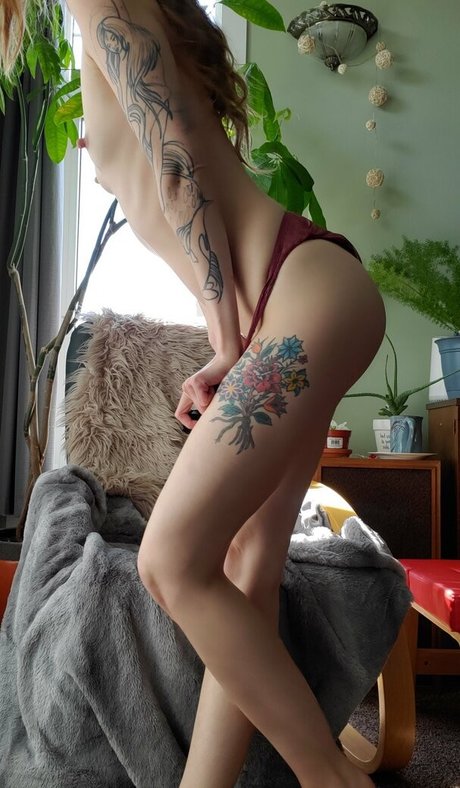 Colbybea