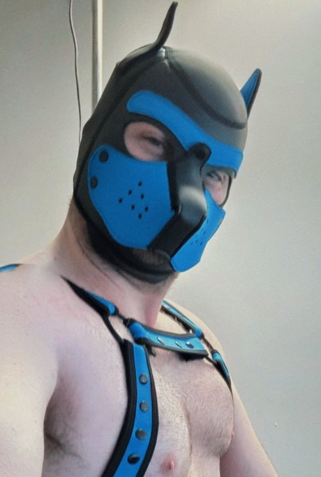 Pup Fiction