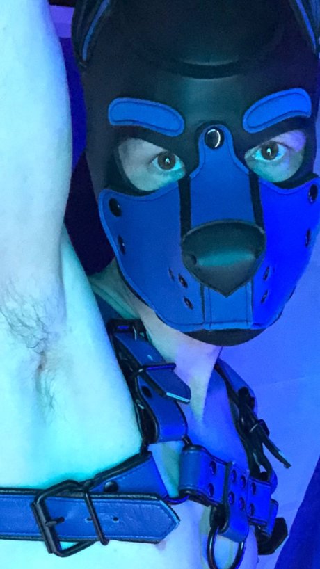 Pup Scrote