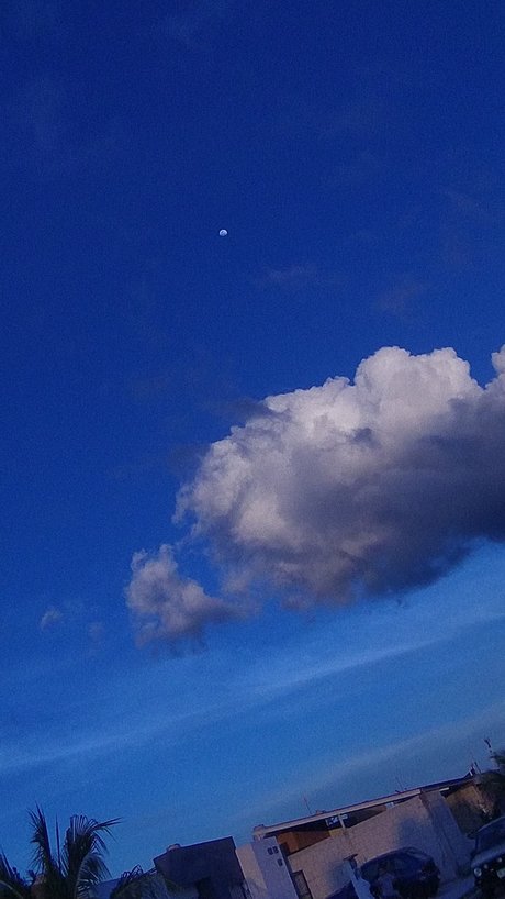 Blue Sky