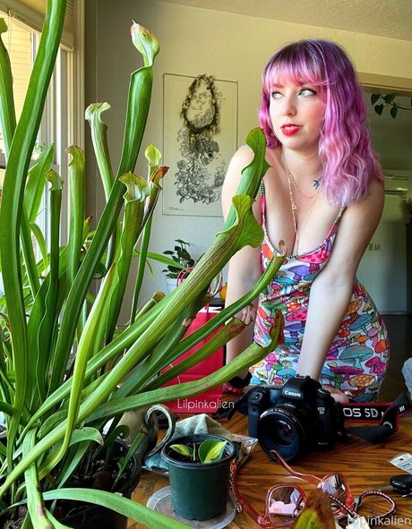 Lilpinkalien OnlyFans泄露裸照