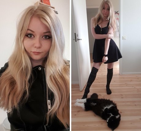 Purrluna