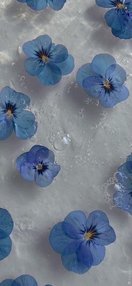Naken läckt OnlyFans-bild av Sassysapphire