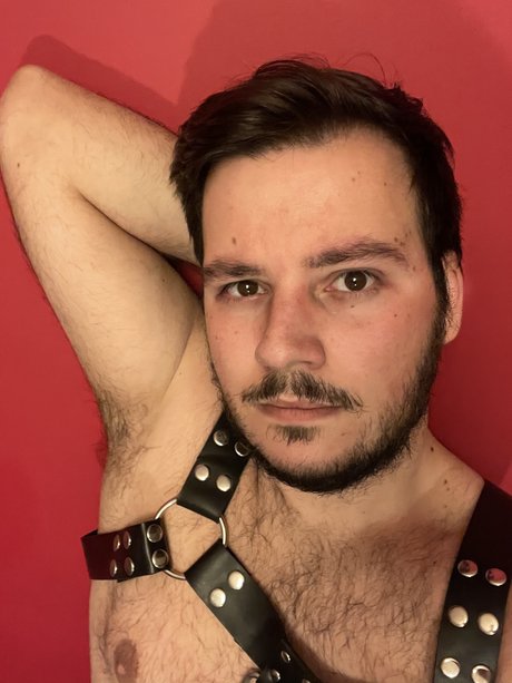Teddy Bear Lx