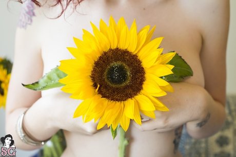 Naakte gelekte OnlyFans-foto van Sunflower