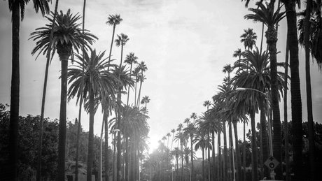 28th Ave