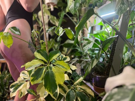 Naken läckt OnlyFans-bild av Plantfeetpics