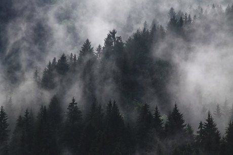 Nagie wyciekłe zdjęcie OnlyFans od Pgsky