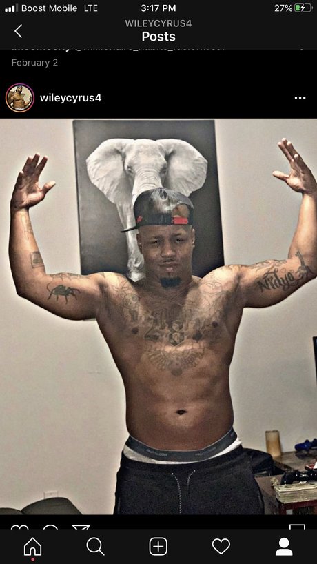 Bigwiley