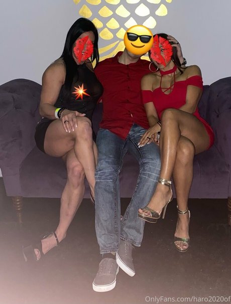 Haro2020of