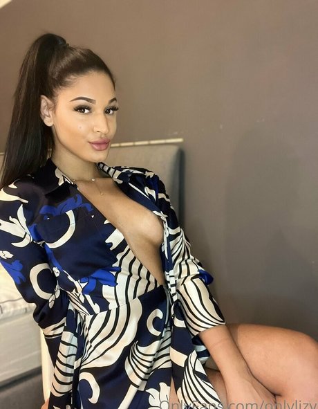 Brownielizy