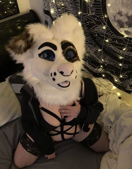 Saoirsemutt