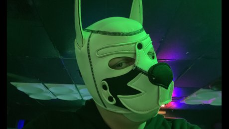 Pup Dax