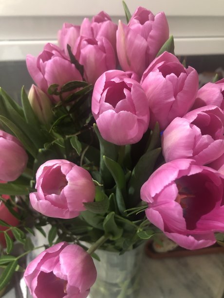 Naken läckt OnlyFans-bild av Rosepetal