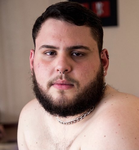Schne  Bear