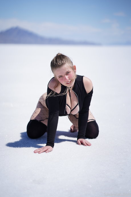 Savannah Solo
